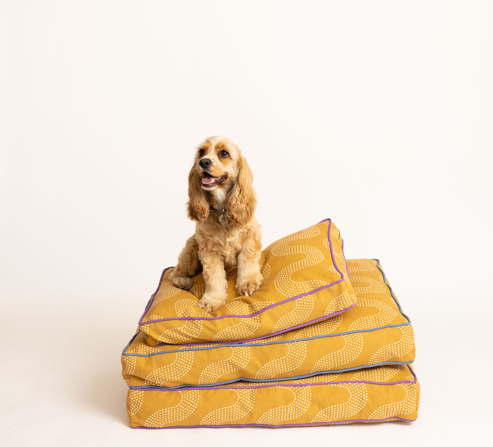 Mustard dog bed hotsell